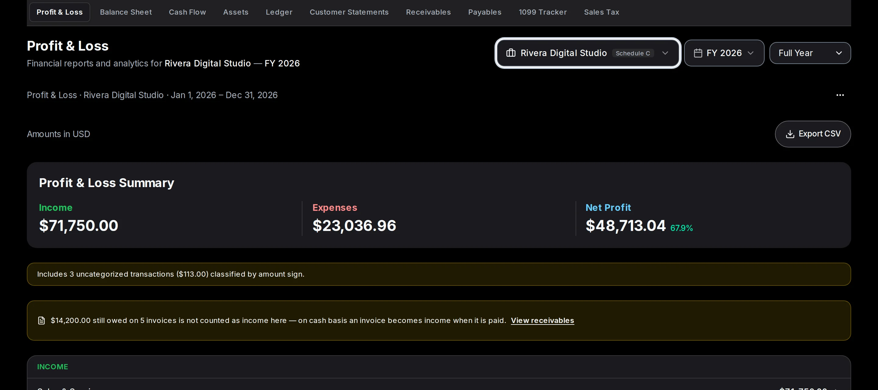A Profit and Loss report for the year with an Export CSV button.