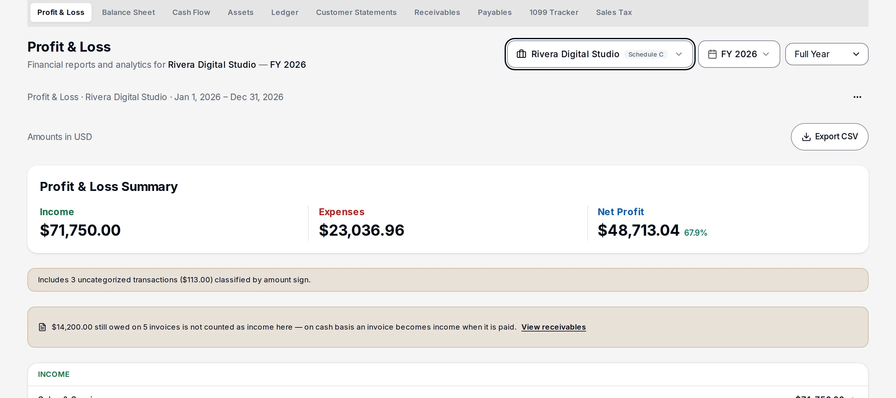 A Profit and Loss report for the year with an Export CSV button.